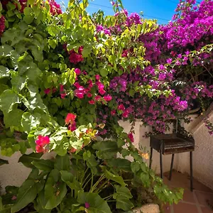  Apartment Pinos 2